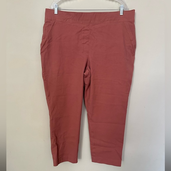 SPANX On-the-Go Ankle Slim Straight Pant! - Picture 4 of 9